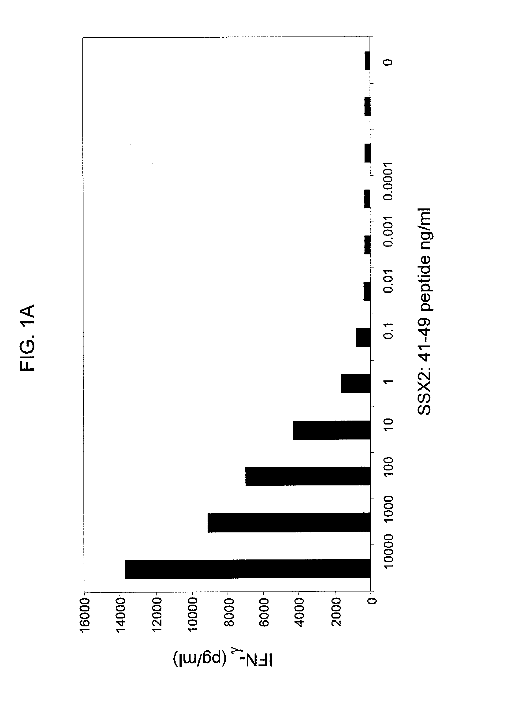 Anti-ssx-2 t cell receptors and related materials and methods of use
