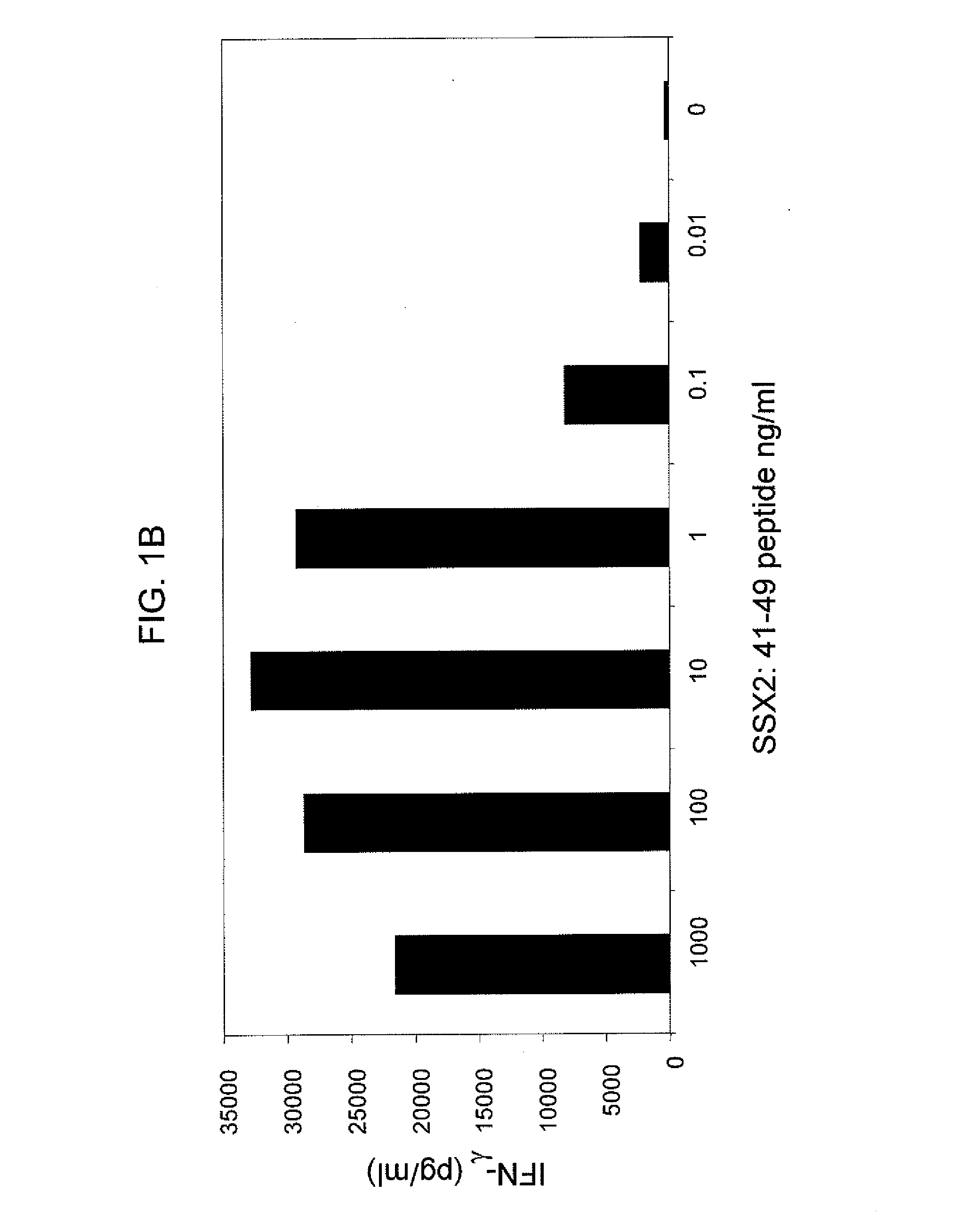 Anti-ssx-2 t cell receptors and related materials and methods of use