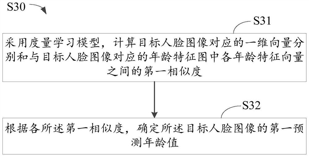 Age recognition model training method, face age recognition method and related device