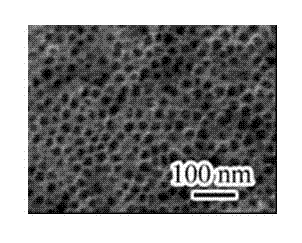 Halophile photosensitive protein-titanium dioxide nanotube composite and preparation method thereof