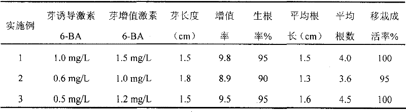 Green cucumber high-frequency regeneration method