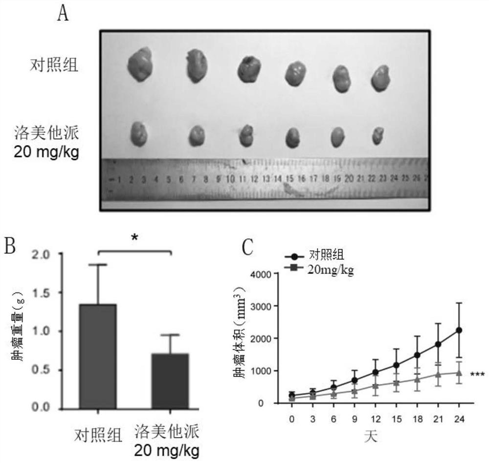 Application of lomitapide in preparation of antitumor drugs