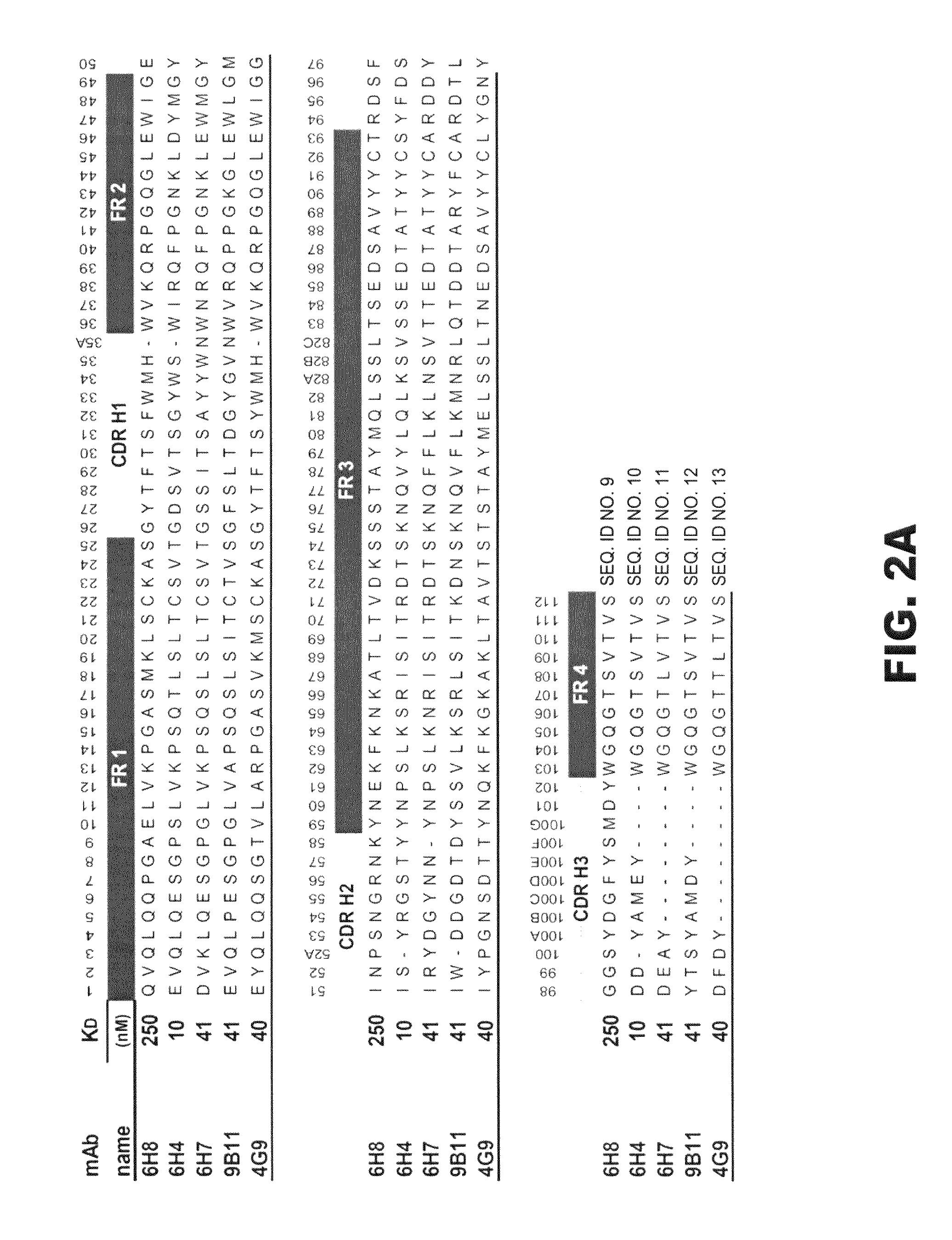 Monoclonal antibodies that selectively recognize methamphetamine and methamphetamine like compounds