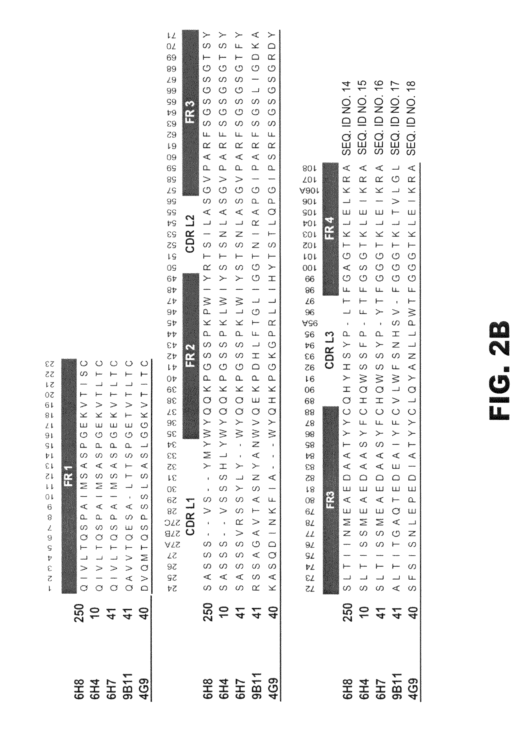 Monoclonal antibodies that selectively recognize methamphetamine and methamphetamine like compounds