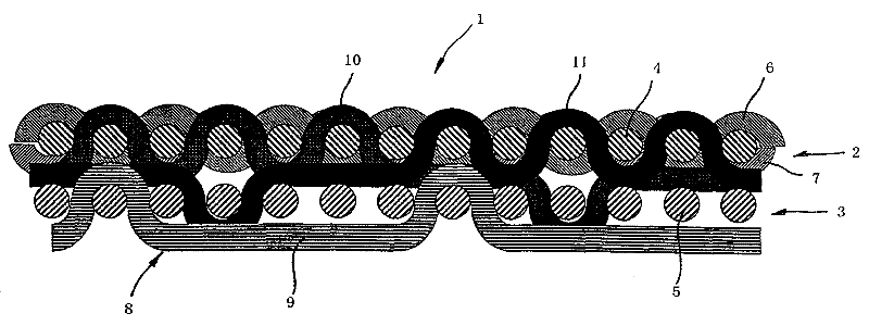 Forming screen for use in a paper machine