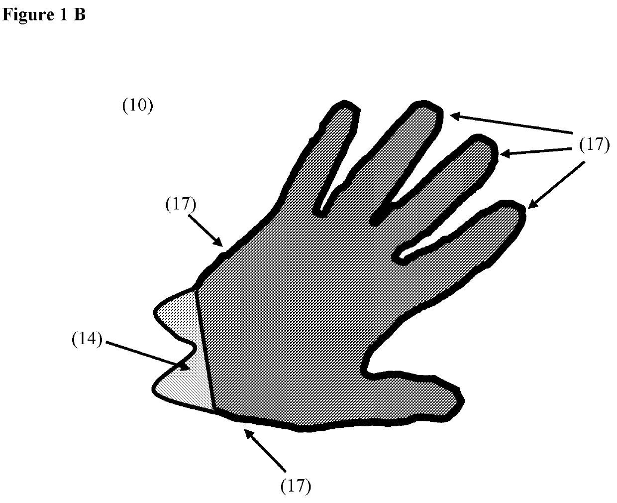 A Hygienic Water-Soluble Glove