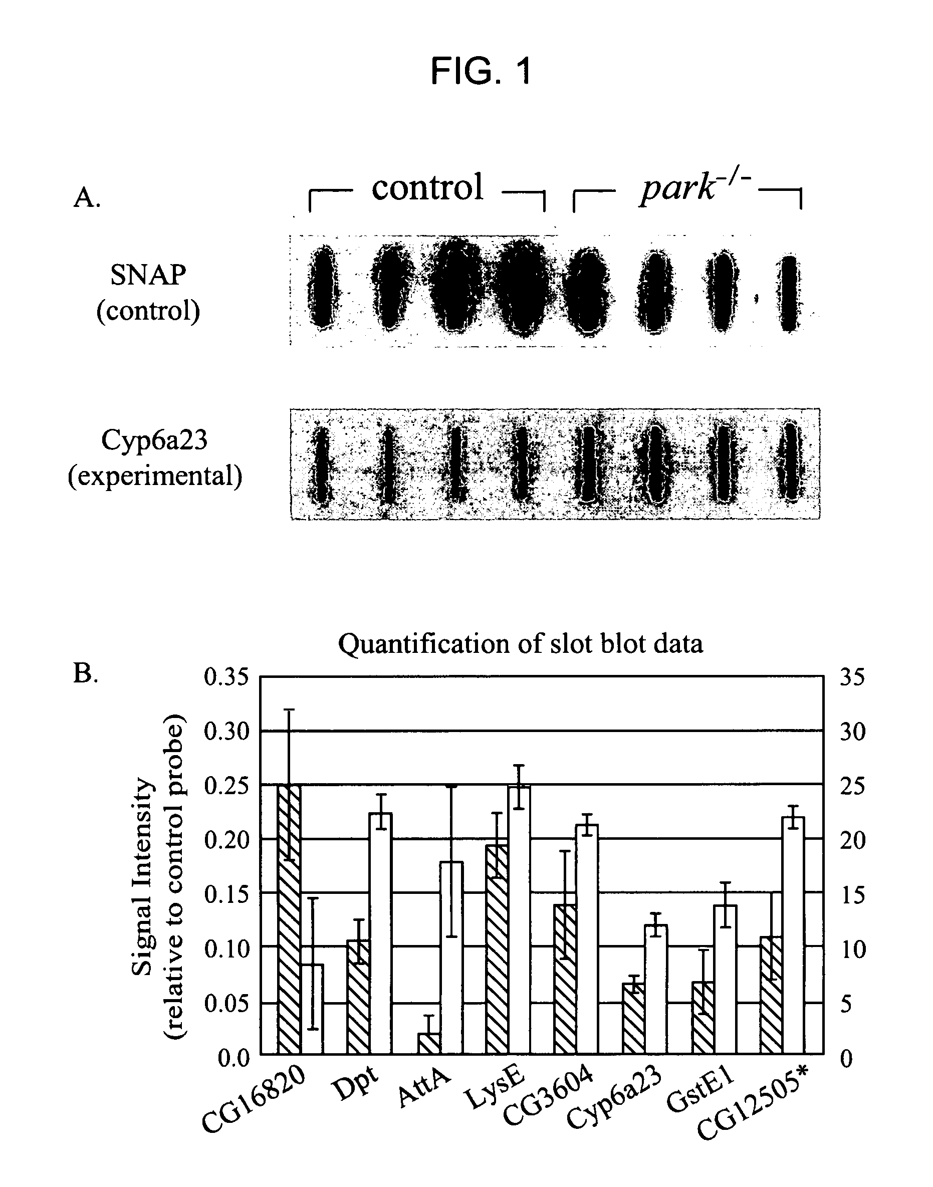 Methods and compositions for screening for modulators of parkinson's disease