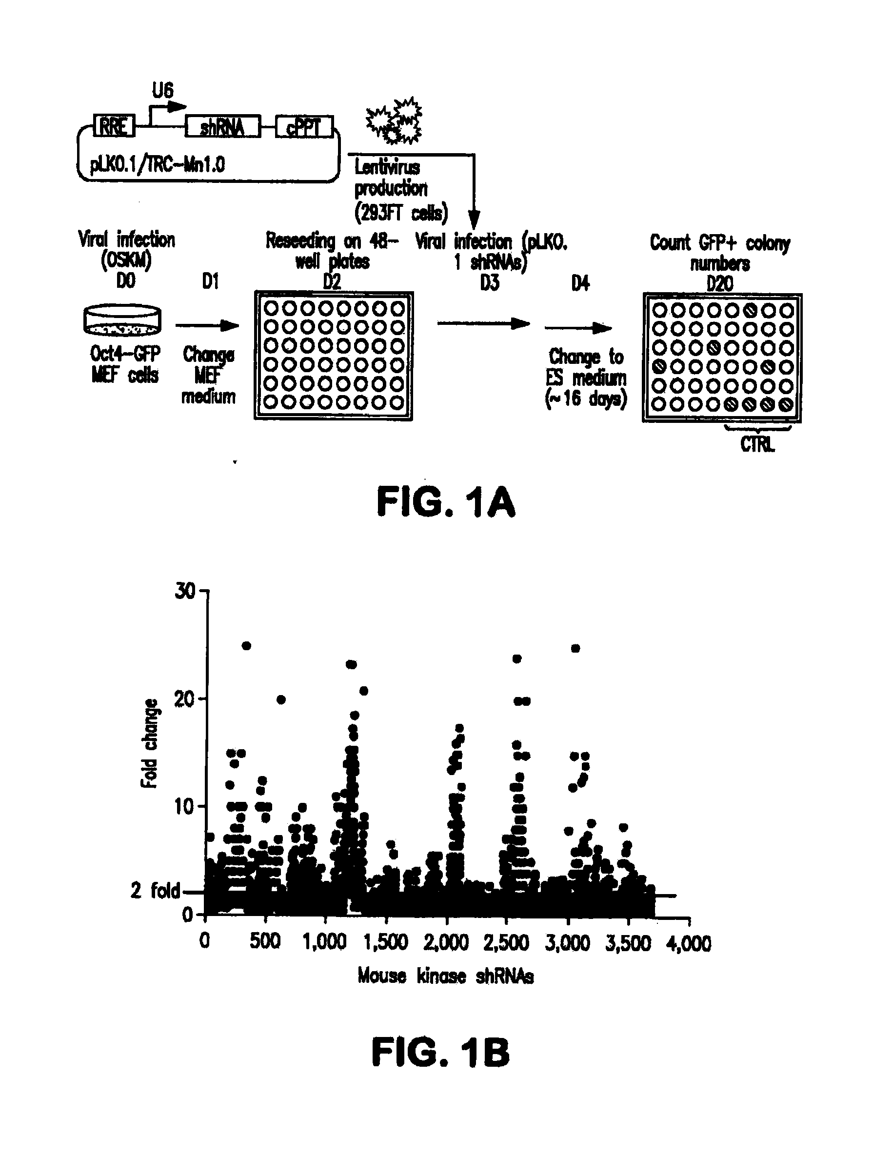 Methods for promoting cell reprogramming
