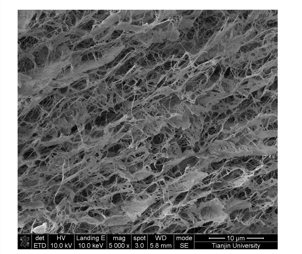 Bacterial cellulose/collagen/hydroxyapatite composite material, and preparation and application thereof