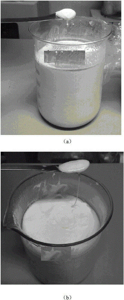 Yoghourt fermenting agent and preparation method thereof