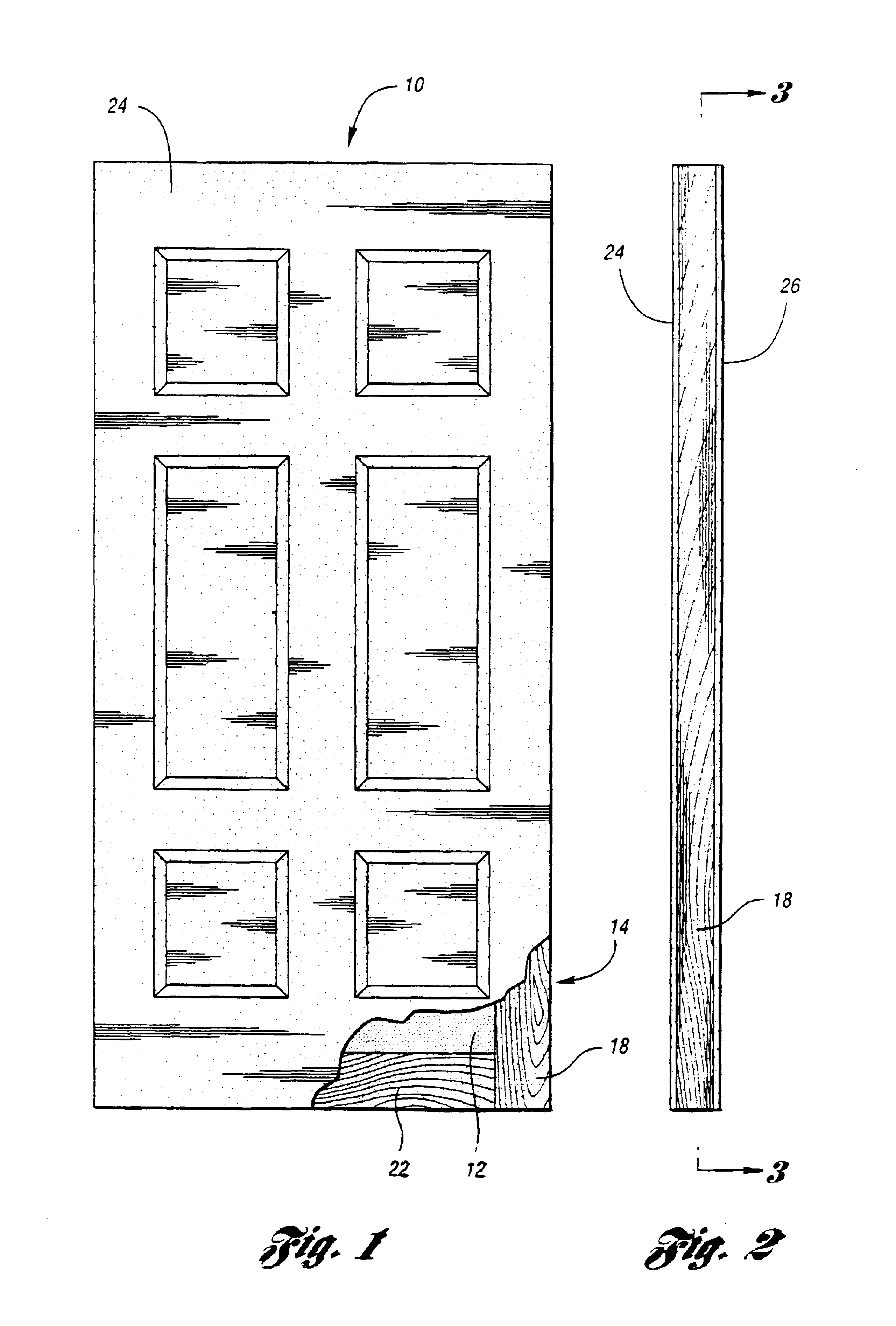 Compression molded door assembly