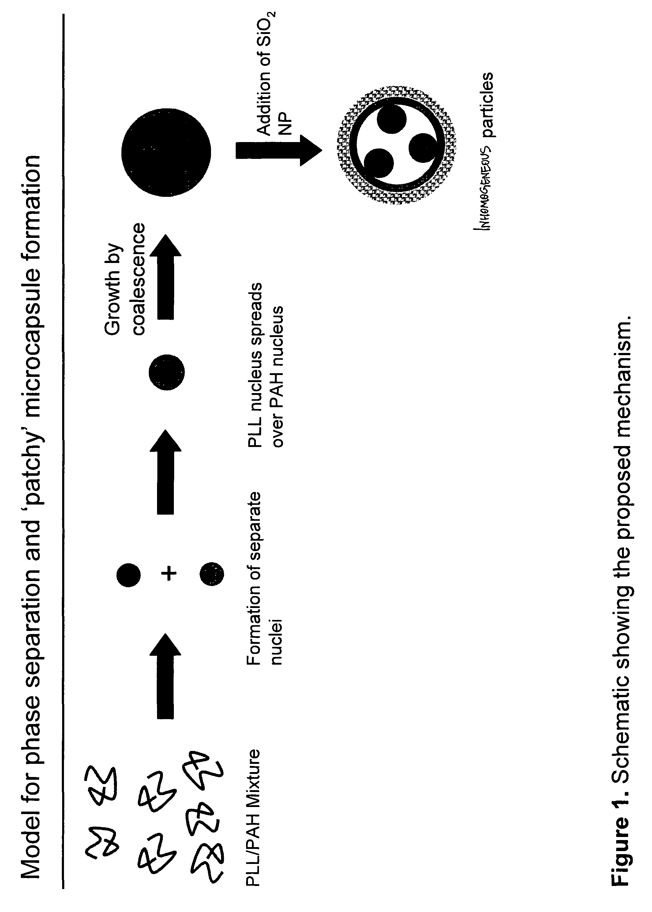 Method to fabricate inhomogeneous particles