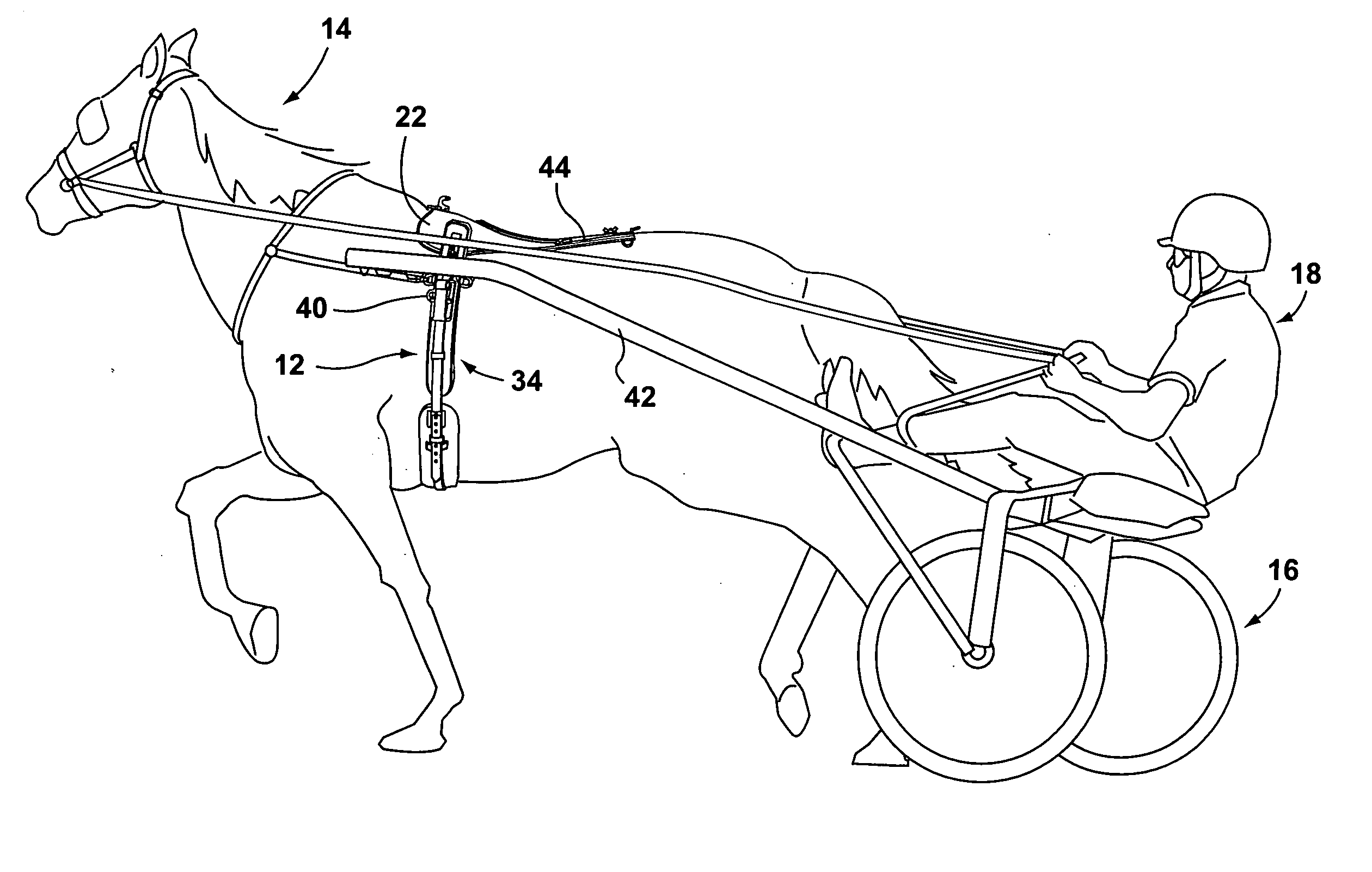 Harness for use in harness racing