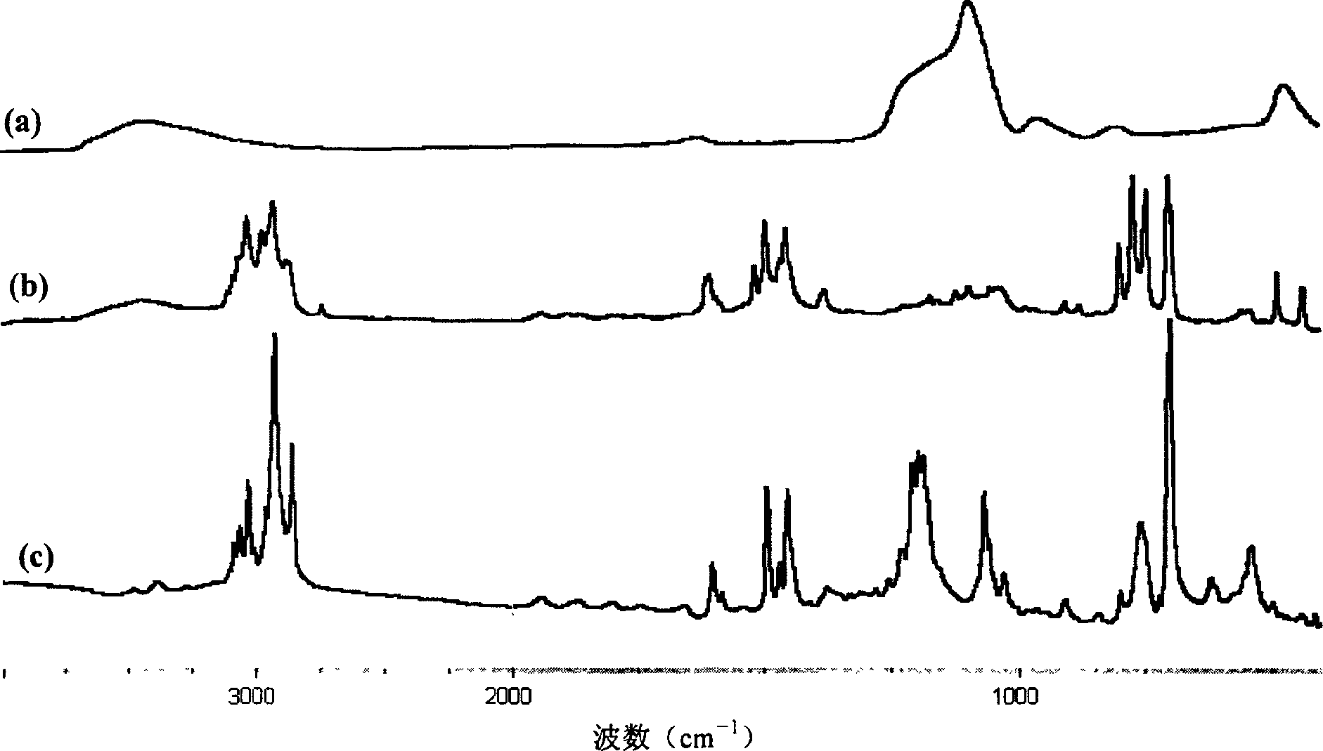 Sulfonic acid functional macromolecular/SiO2 composite nano-particles and process for preparing same
