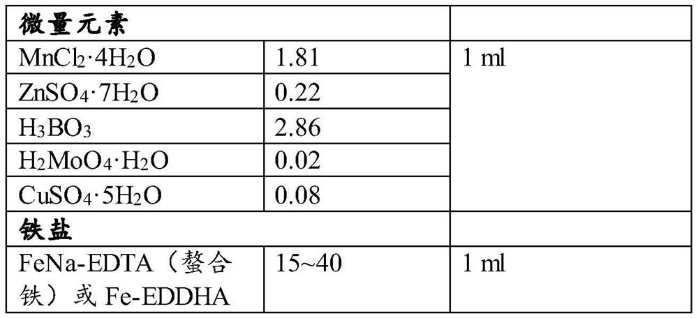Tissue culture and rapid propagation method for grape rootstocks