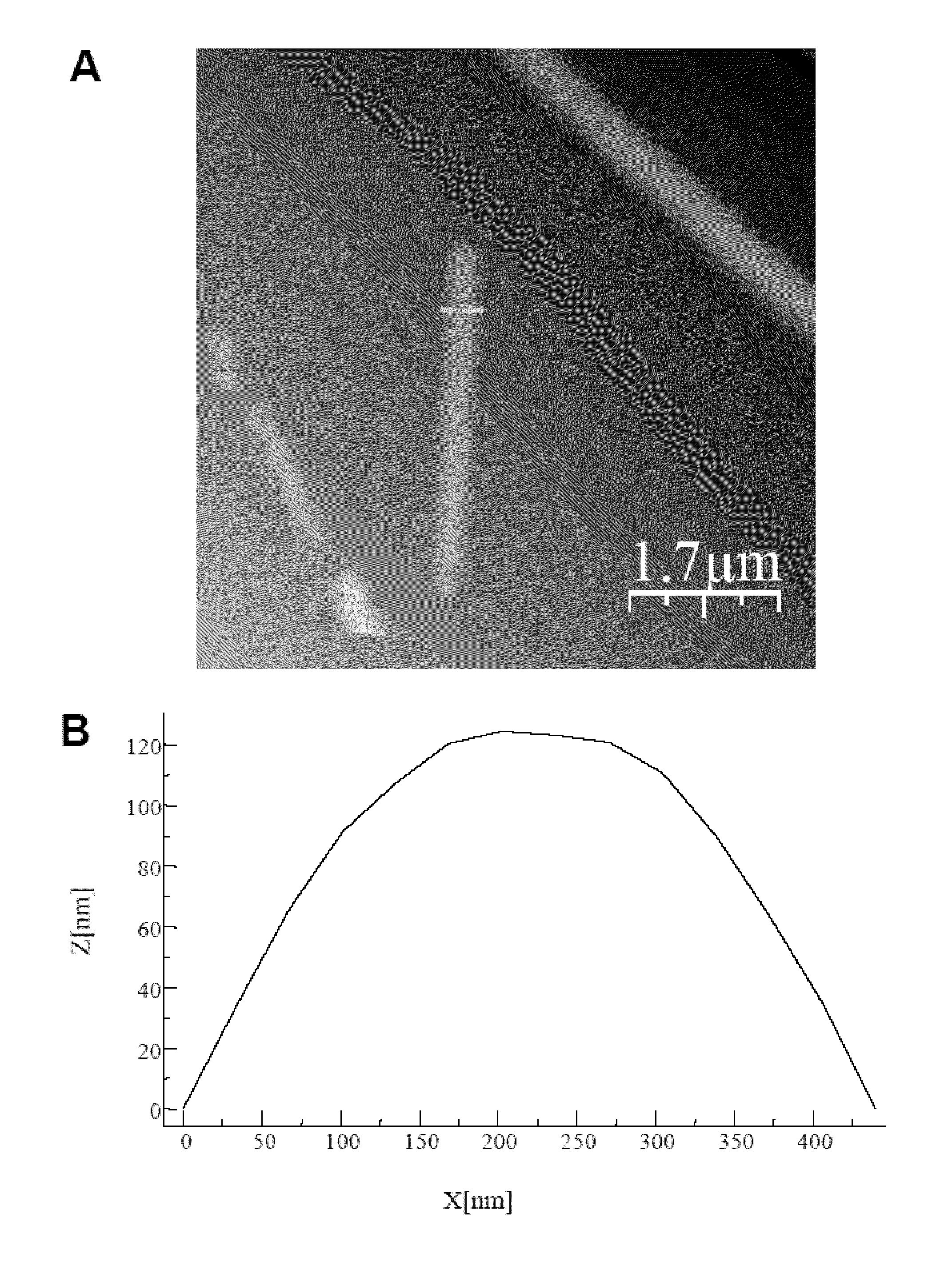 Peptide nanostructures containing end-capping modified peptides and methods of generating and using the same