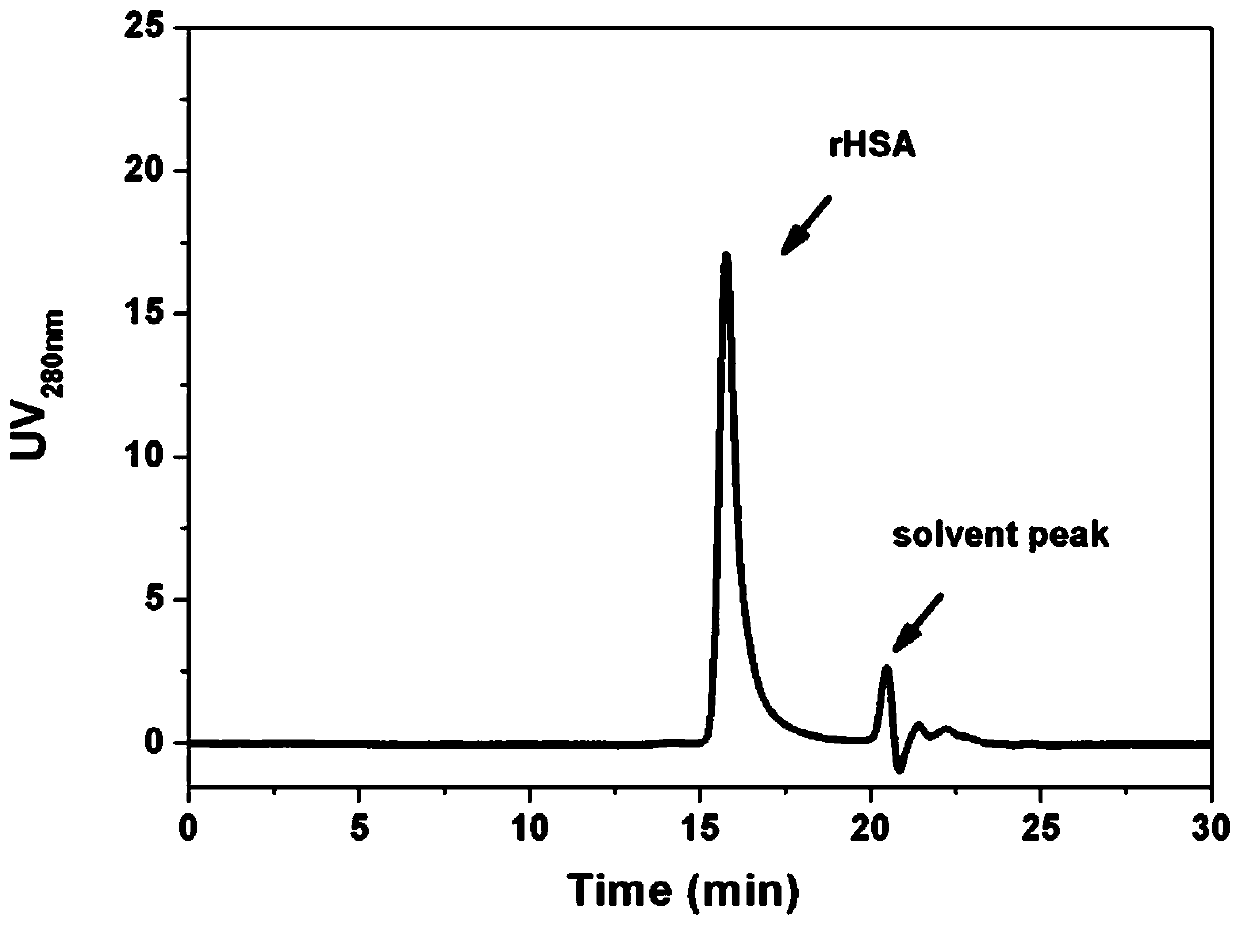 A Mixed Mode Based Expanded Bed Adsorption Method for Separation of Human Serum Albumin