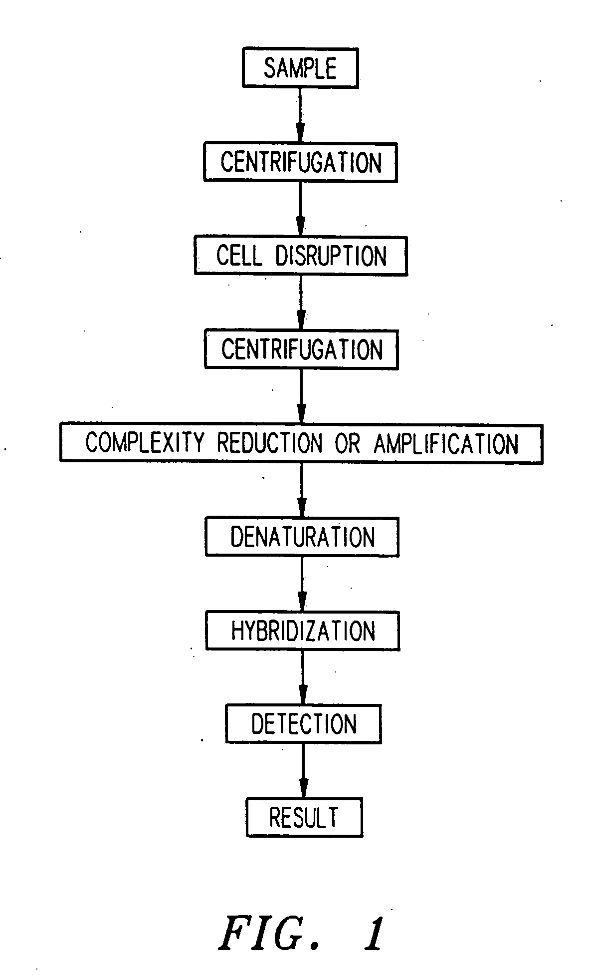 Apparatus for active programmable matrix devices