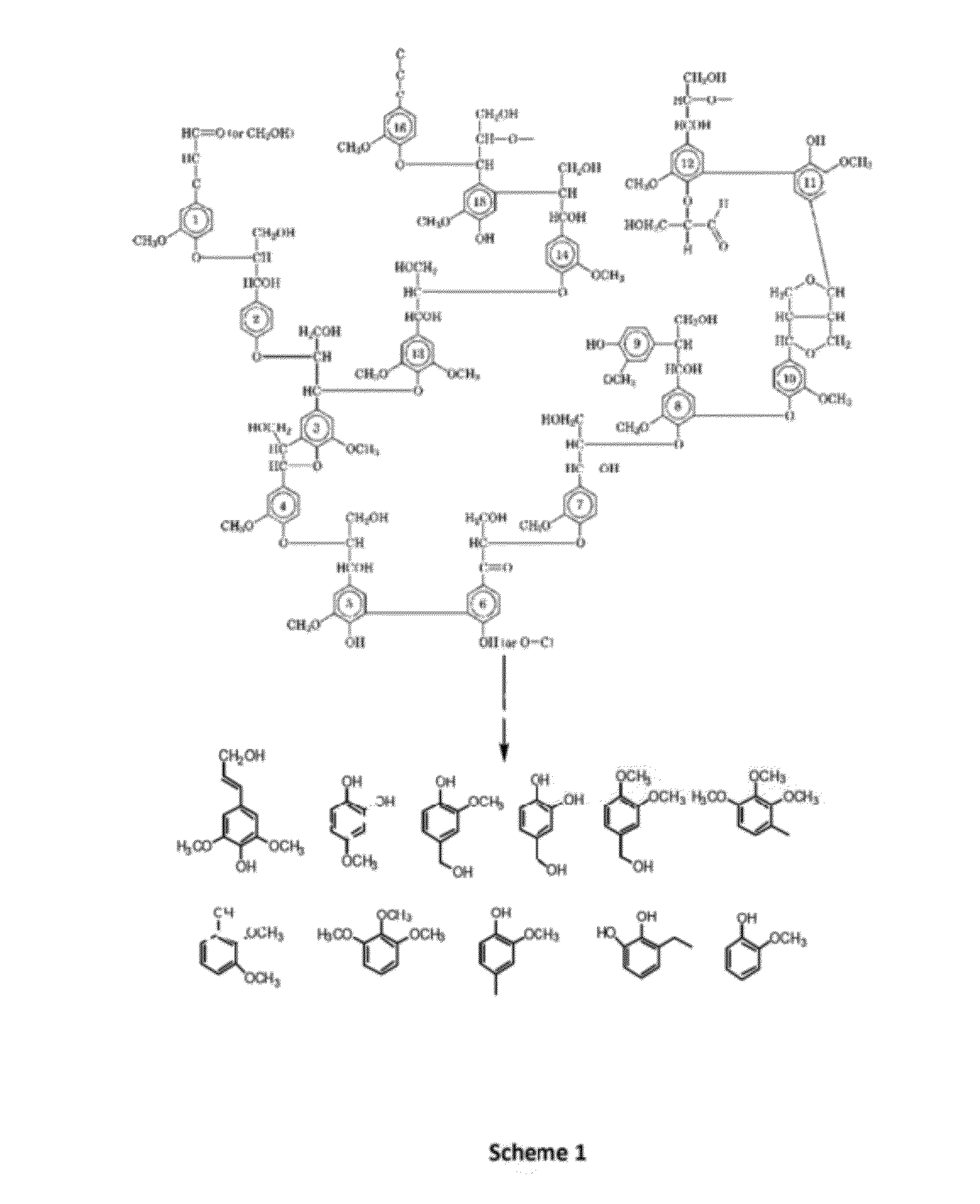 Depolymerization of lignin using solid acid catalysts