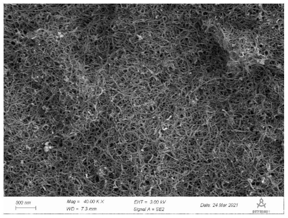 High-dispersity carbon nanotube, preparation method thereof and secondary battery