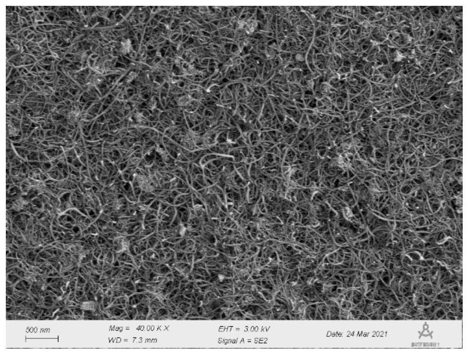 High-dispersity carbon nanotube, preparation method thereof and secondary battery