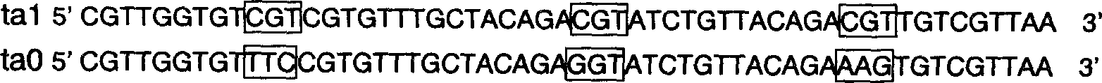 Method of improving king crab element gene with higher antibacterial activity and high effect expression