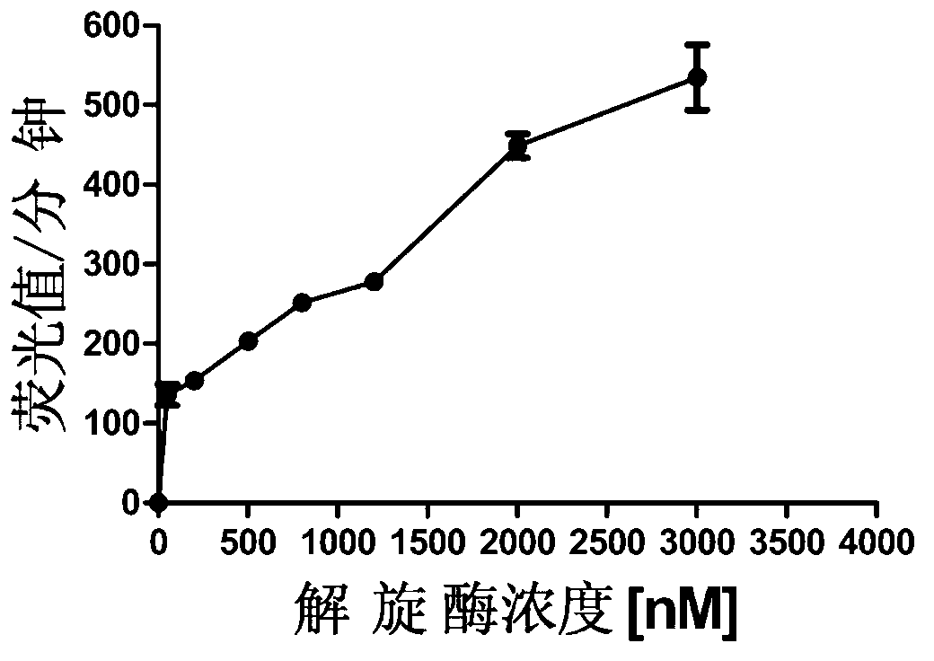 Establishing method for drug screening model of high-throughput Japanese encephalitis virus helicase inhibitor