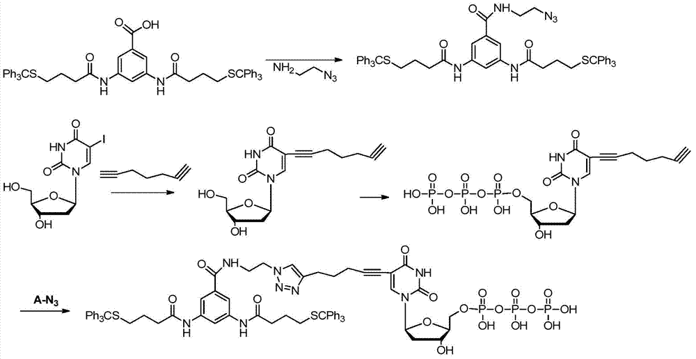 Molecular glue-based fluorescently labeled nucleotides and their use in dna sequencing