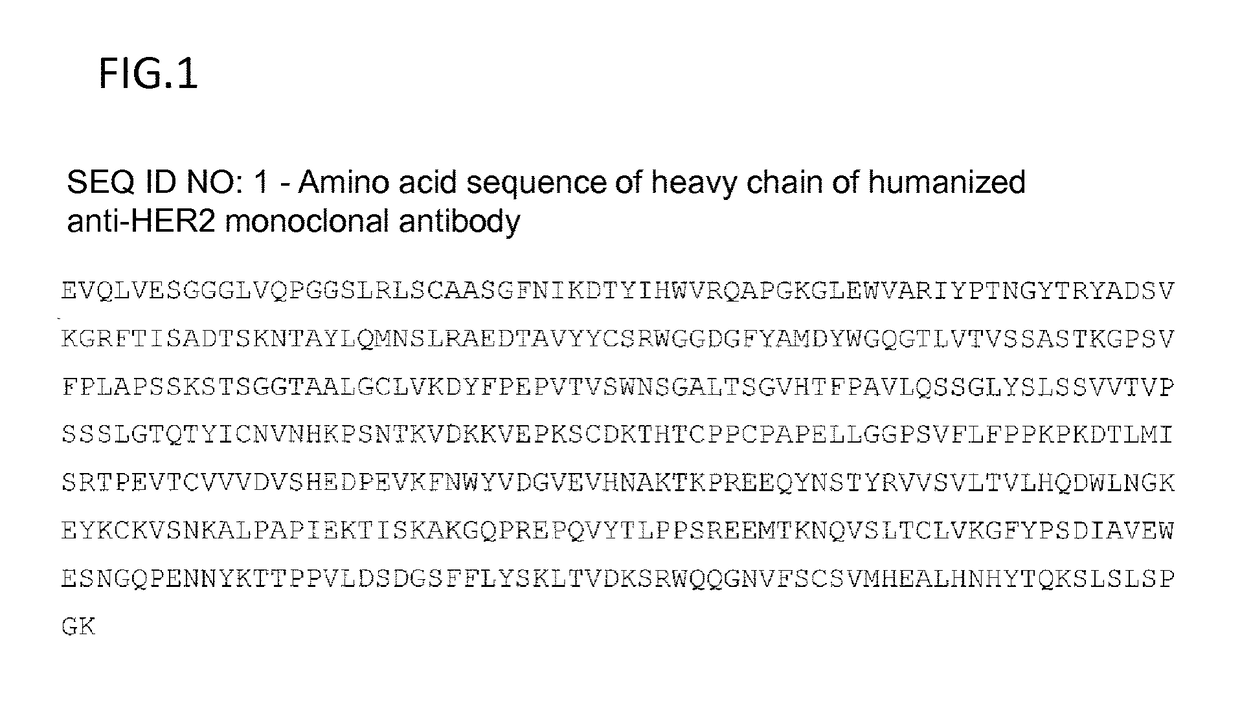 Anti-HER2 antibody-drug conjugate