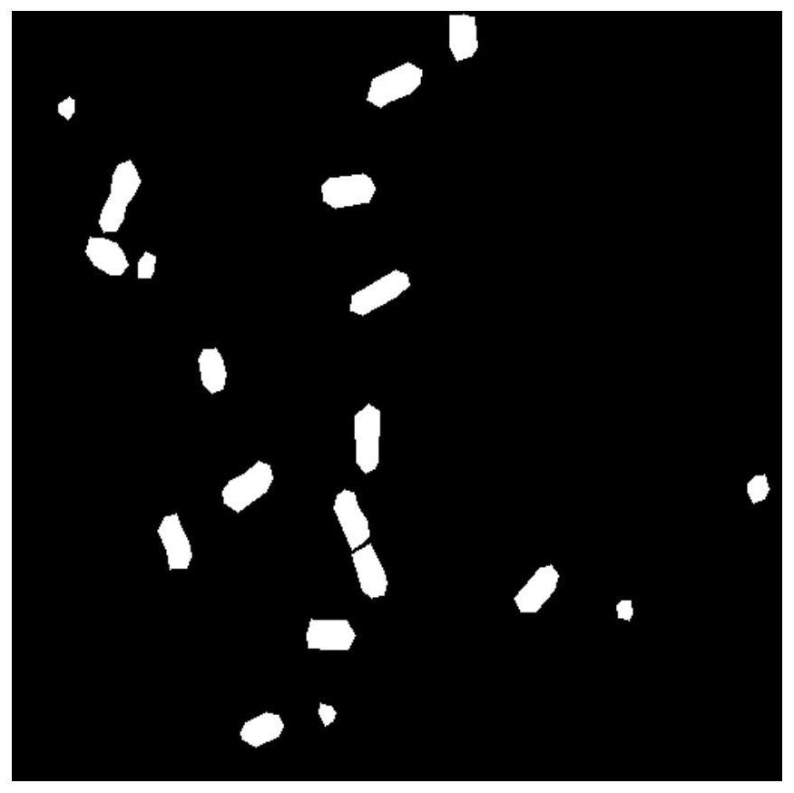 Bacterial microscopic image segmentation method based on deep learning network