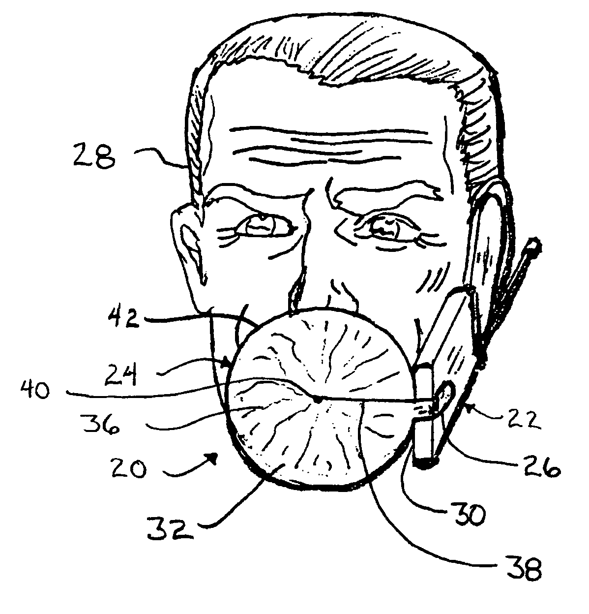 Voice absorber for portable telephonic devices