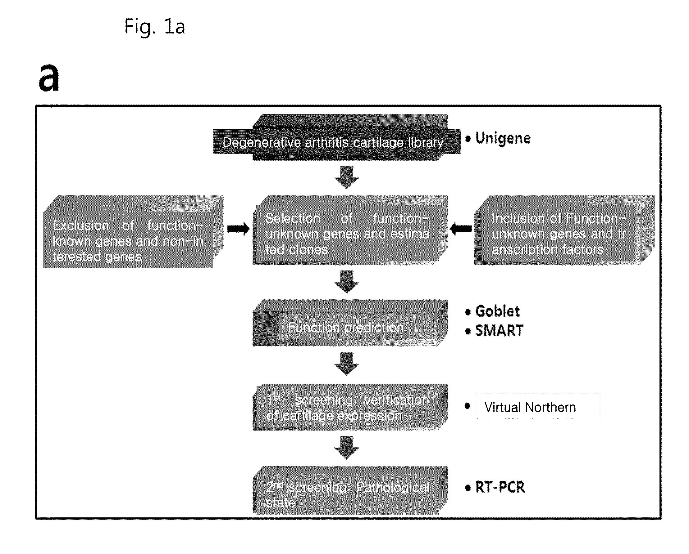 Pharmaceutical composition including an hif-2 alpha inhibitor as an active ingredient for preventing or treating arthritis