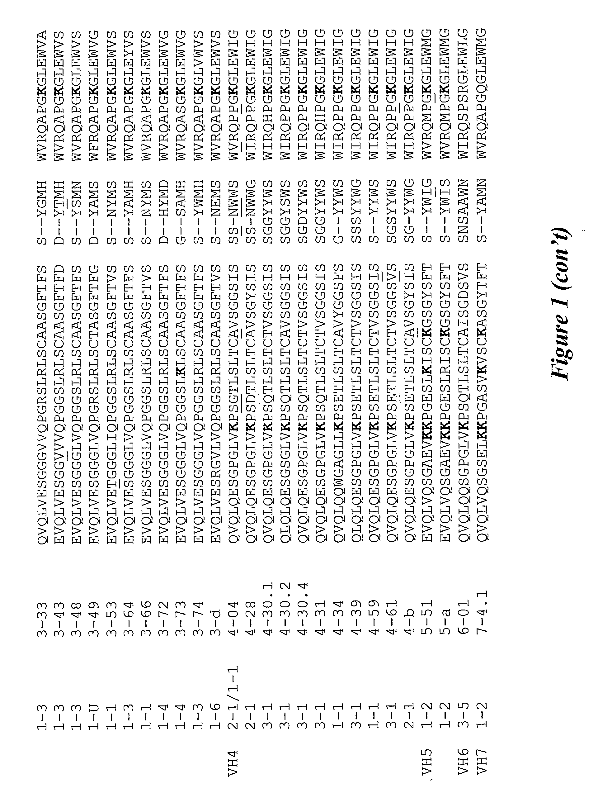 Biological materials and uses thereof