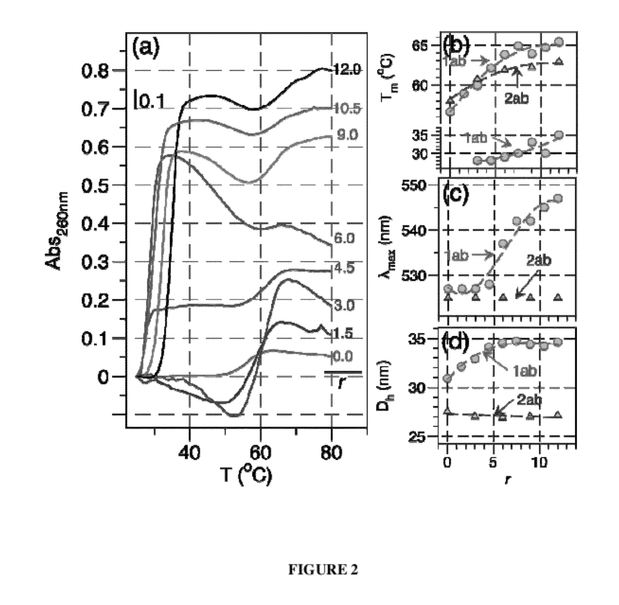 System and method for delivery of dna-binding chemotherapy drugs using nanoparticles