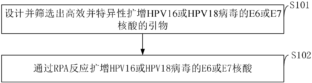 Method for detecting E6 or E7 nucleic acid of HPV16 or HPV18 virus based on RPA