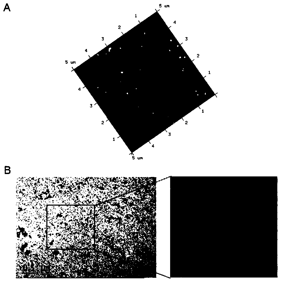 Rapeseed protein-based nanogel and application thereof