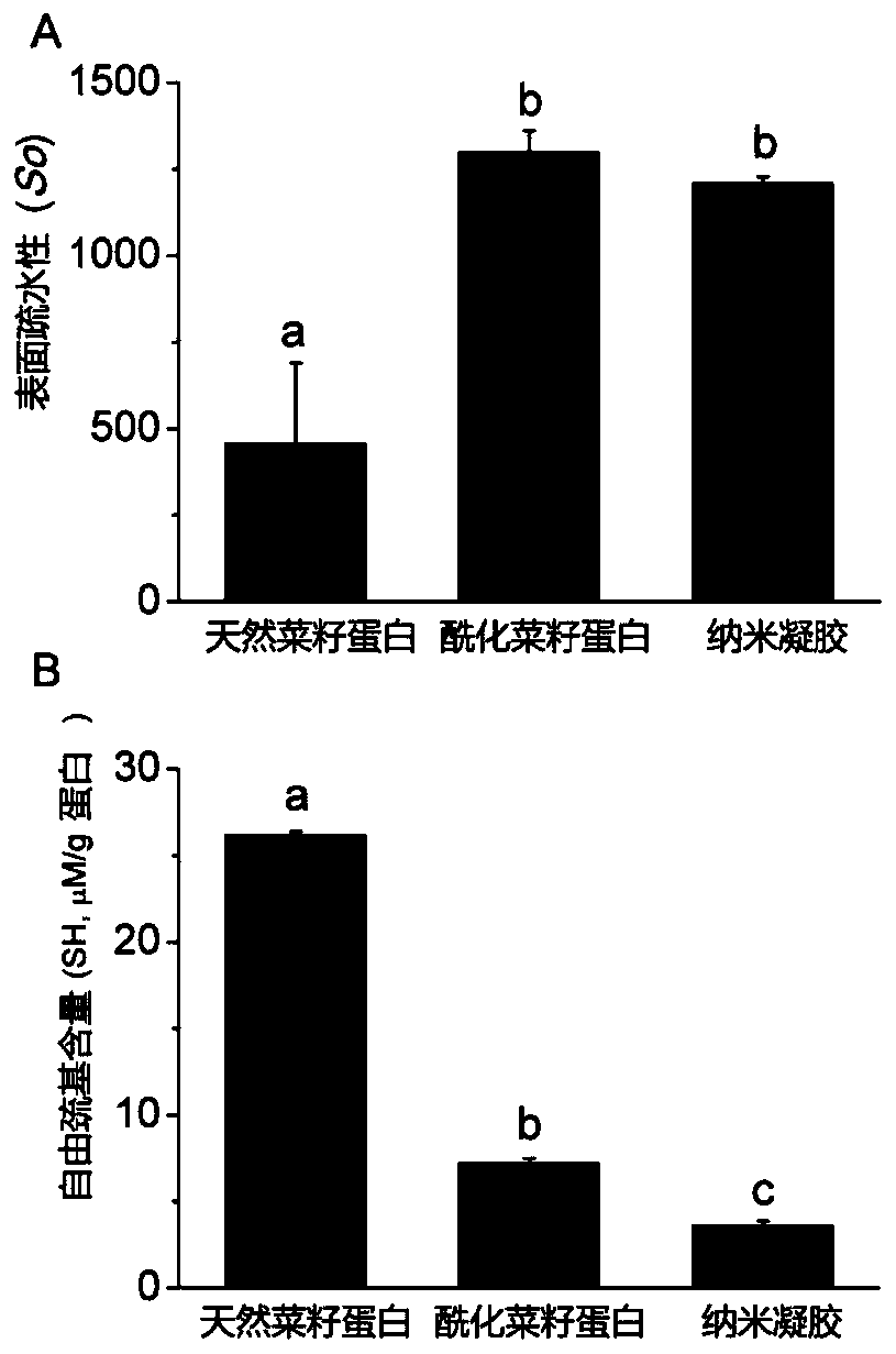 Rapeseed protein-based nanogel and application thereof