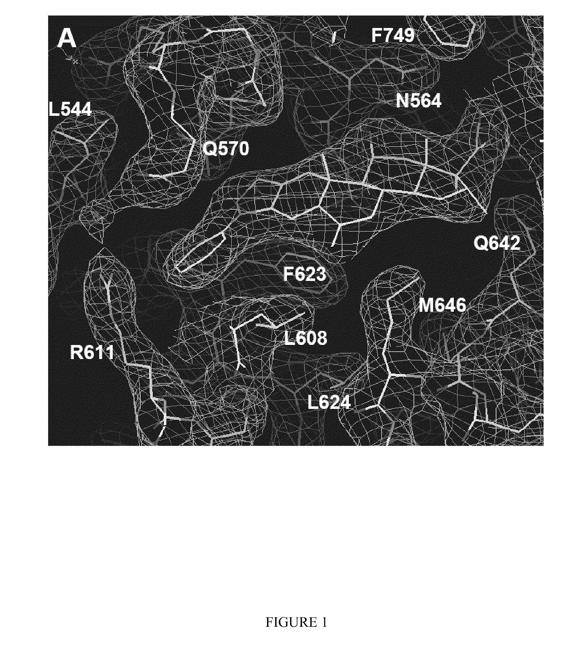 Methods of using substituted isoxazolo pyridinones as dissociated glucocorticoids