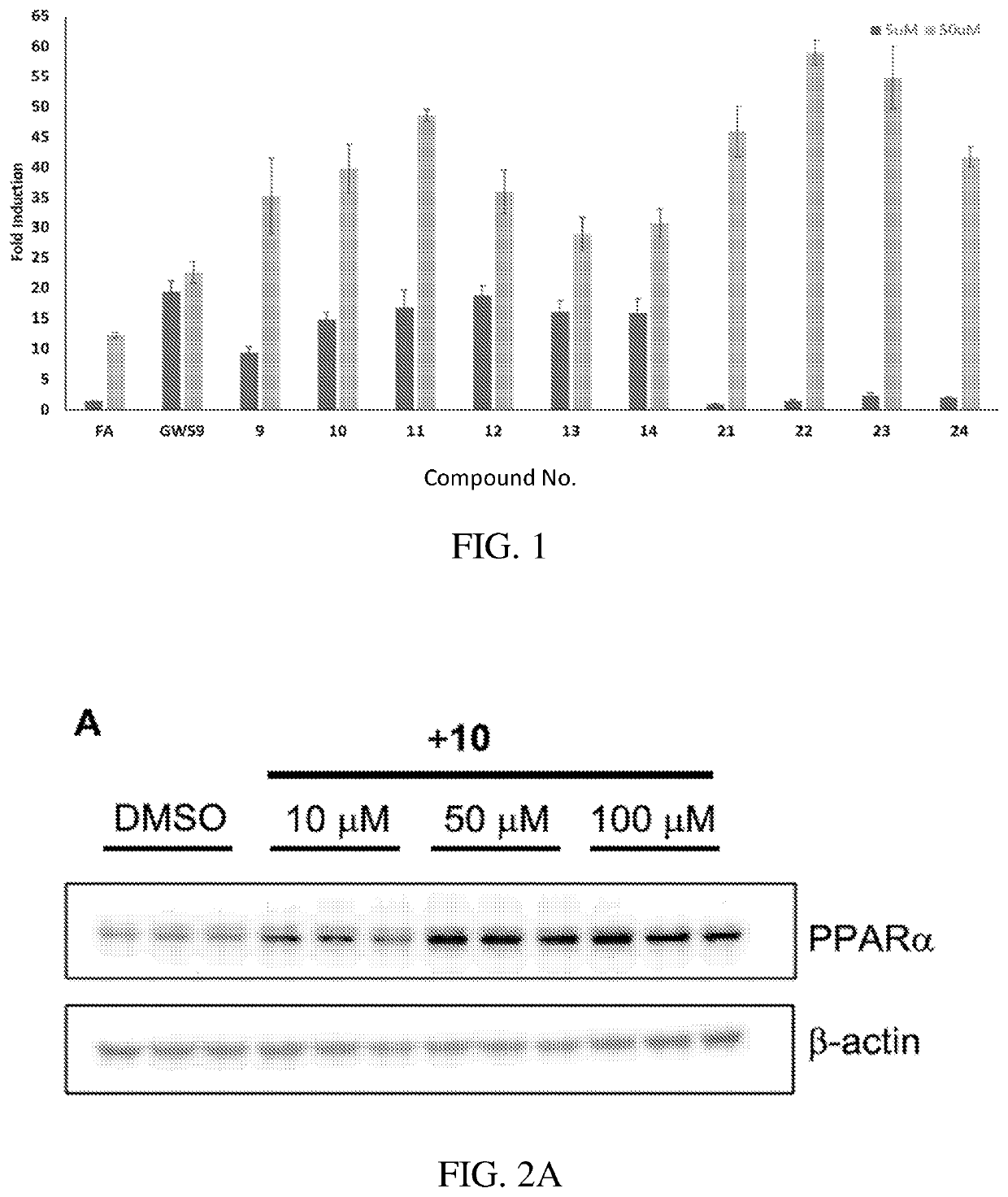 Agonists of peroxisome proliferator-activated receptor alpha and methods of use
