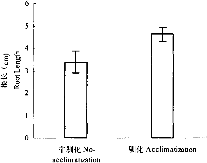 Domestication method adopted for enhancing salt resistance of festuca arundinacea