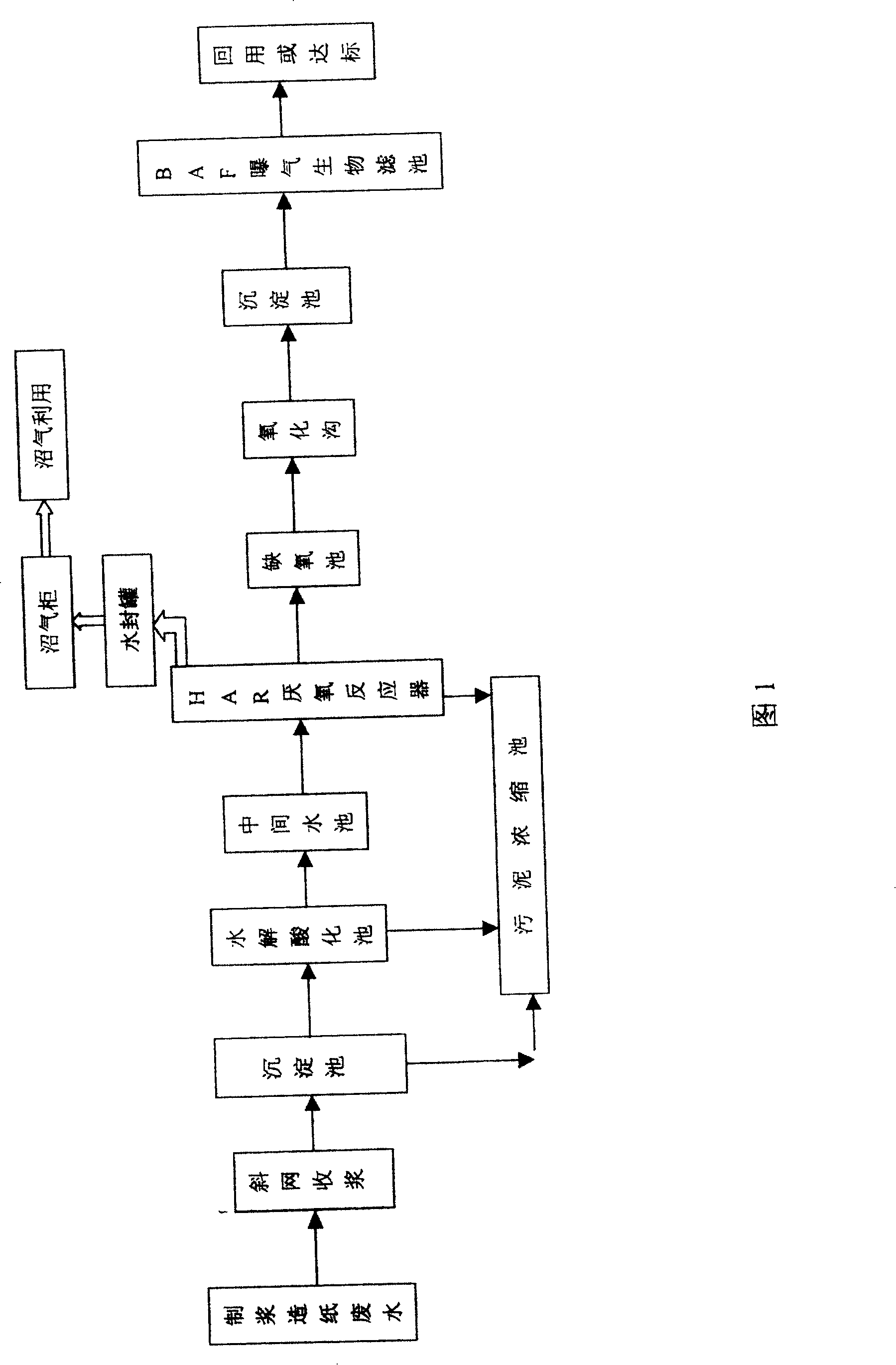 Paper-making effluent purifying treatment process