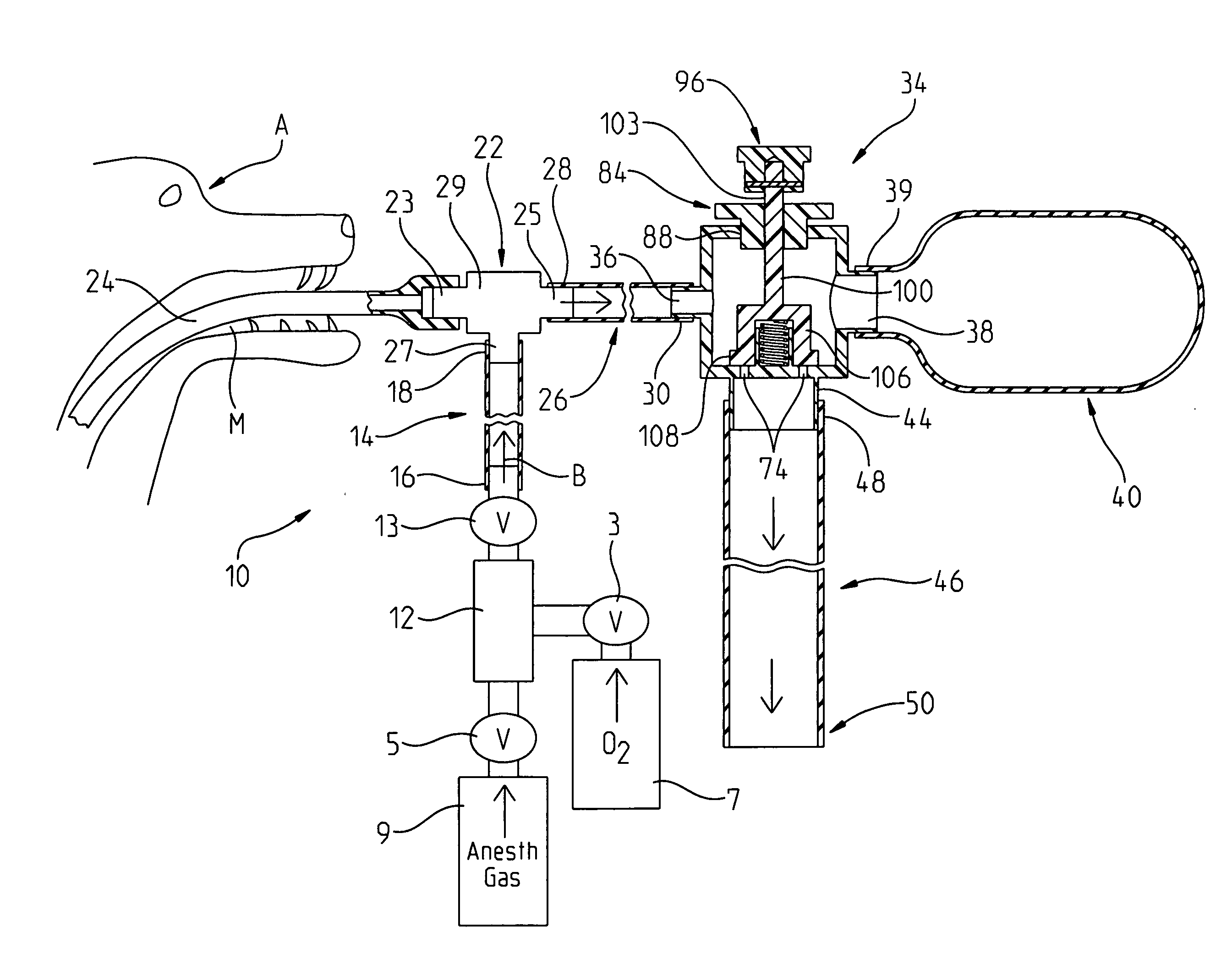 Ventilation valve for a veterinary anesthesia system