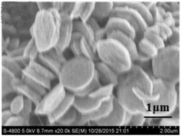 Zinc oxide nanoparticle preparation method based on silk fibroin bio-template regulation