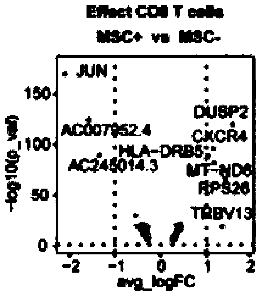 Application of MSC to regulation and control of gene expression of effector CD8+ T cells