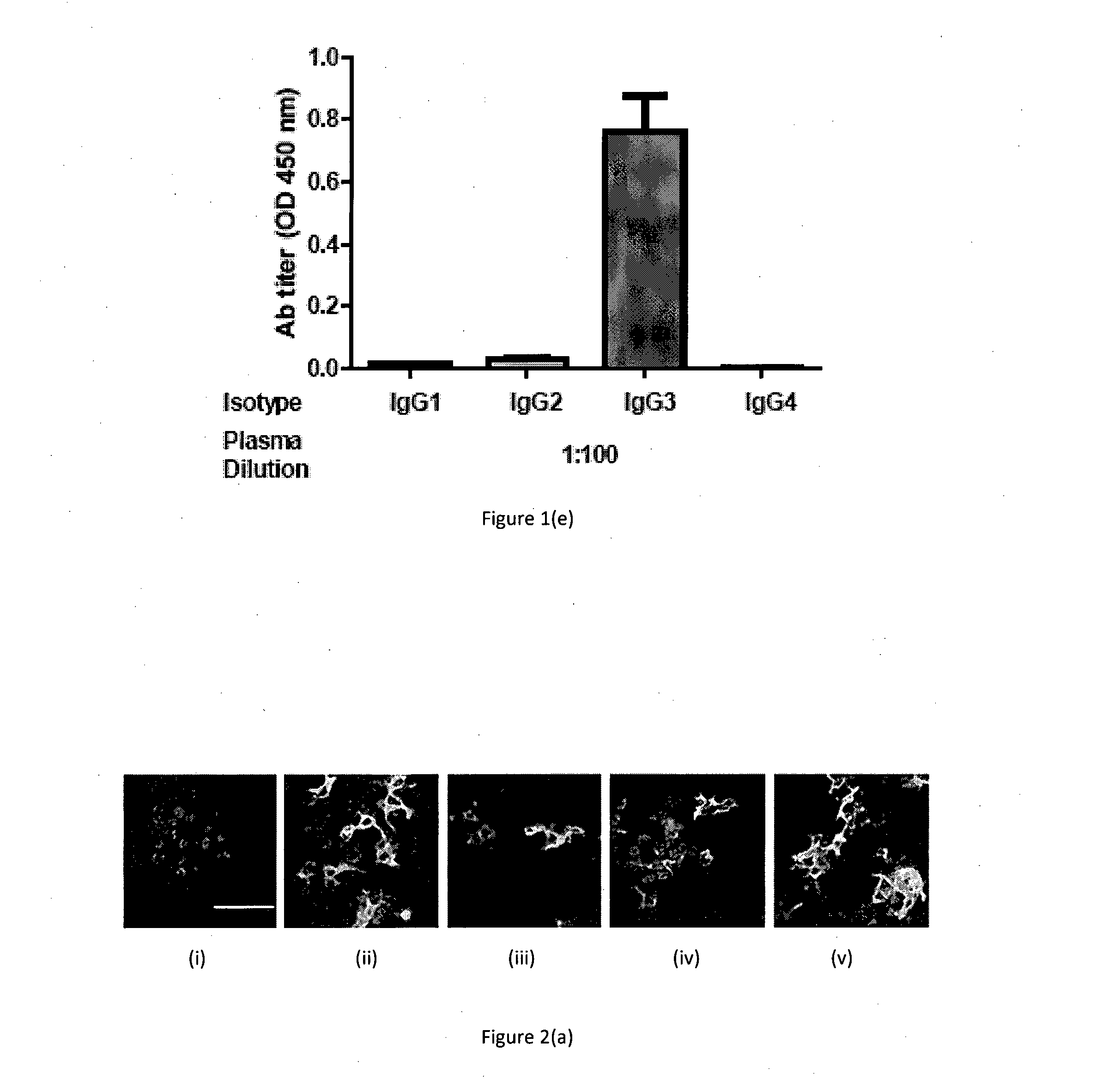 Immunogenic chikungunya virus peptides