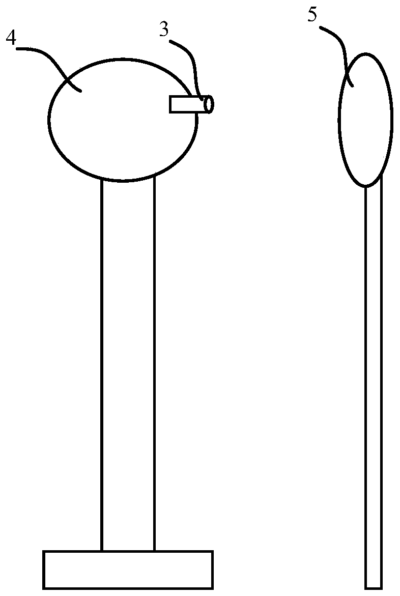 Automatic focusing type iris image acquisition method and device