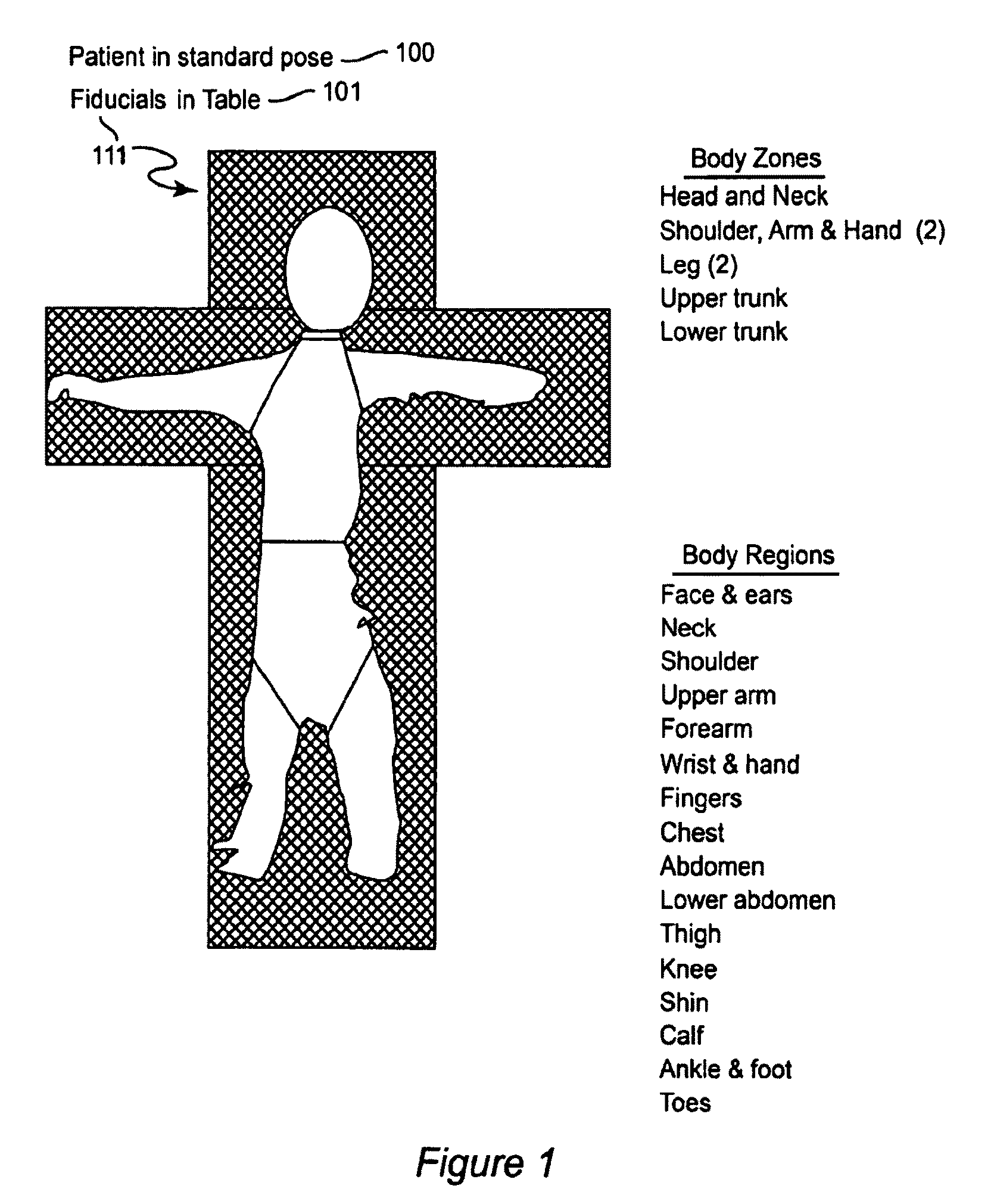 System and method for using three dimensional infrared imaging to provide detailed anatomical structure maps