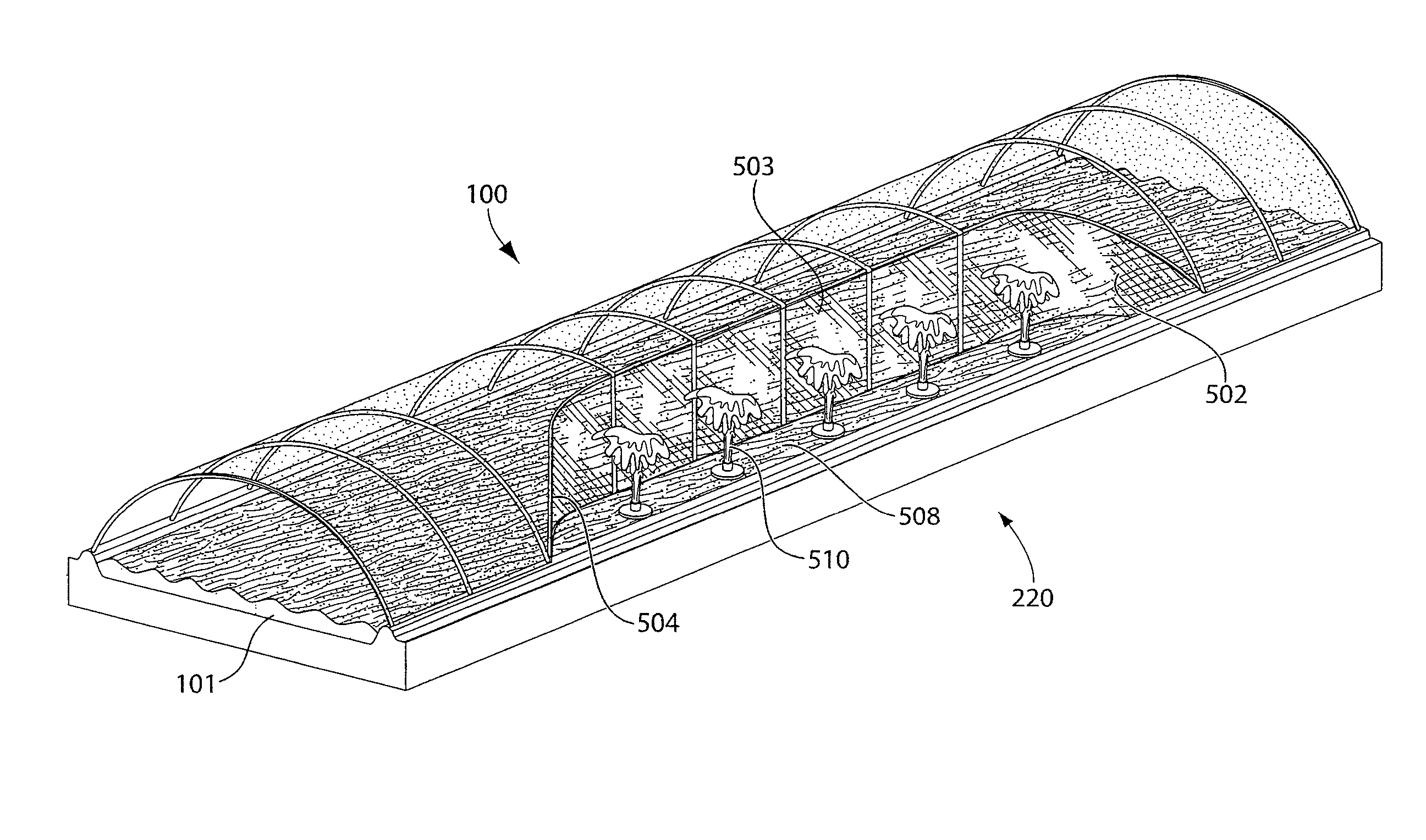 Photobioreactor systems and methods for treating CO2-enriched gas and producing biomass