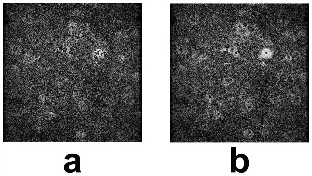 Image registration method based on density clustering