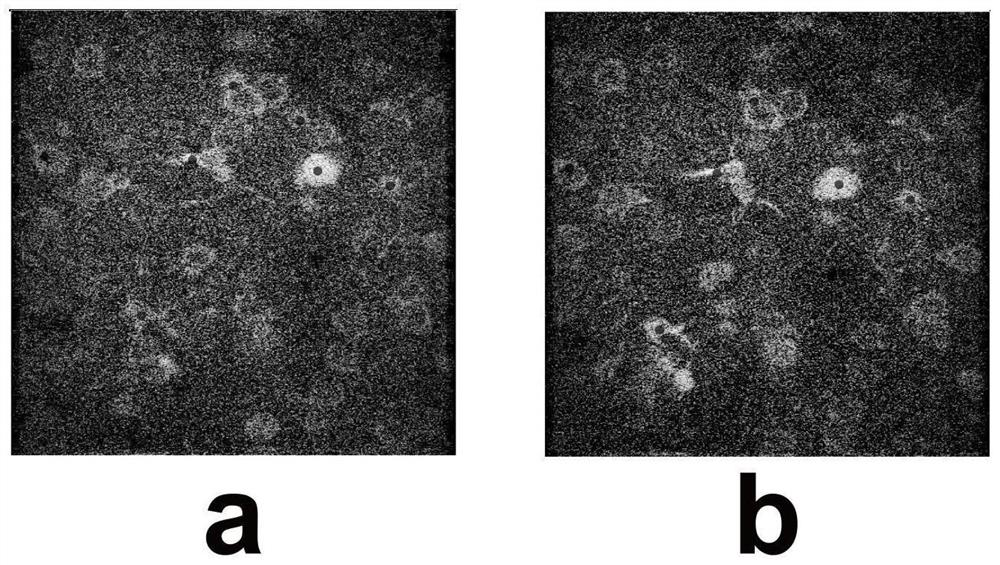 Image registration method based on density clustering